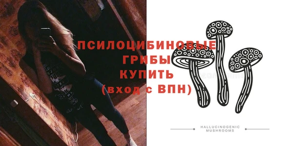 мдма Каменка