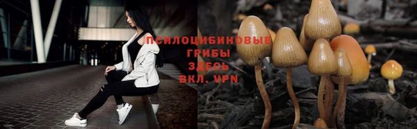 мдма Каменка