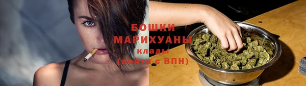 гидропоника Каменногорск