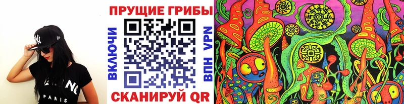 Купить где  Микунь  Галлюциногенные грибы Cubensis 