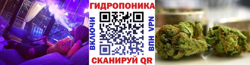 Купить закладки  Микунь  Конопля семена 